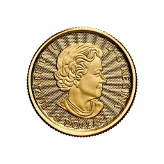 gold-coin-bear-polar-1-10-ounce-awers