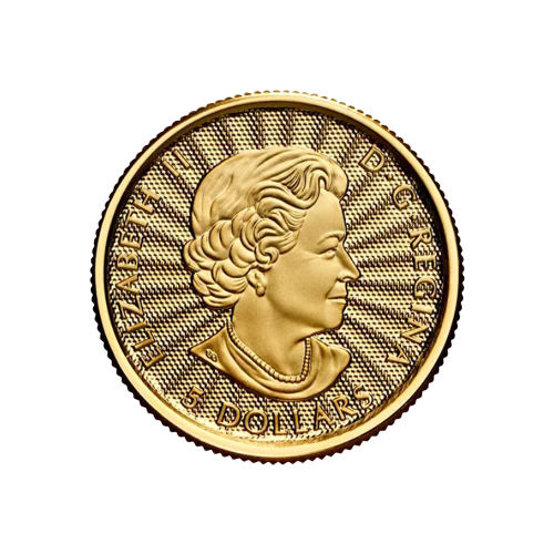 gold-coin-bear-polar-1-10-ounce-awers