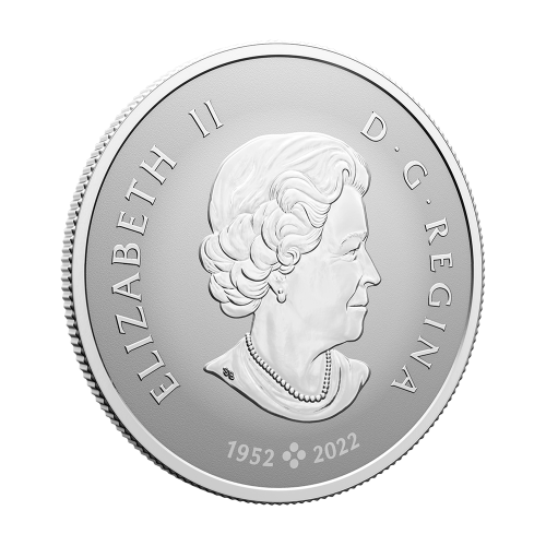 silver-coin-welcome to the world-2024-awers2