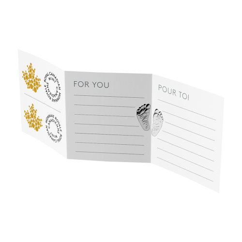 srebrna-moneta-witaj-na-swiecie-2024-opakowanie2