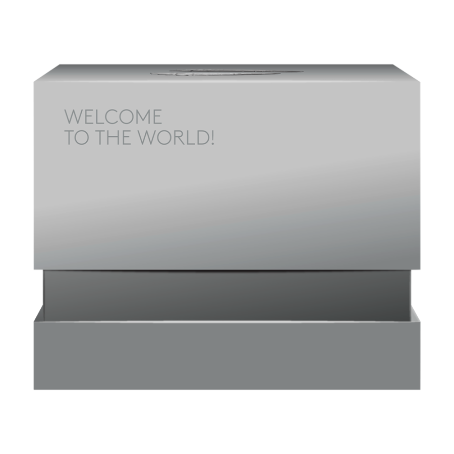 silver coin-welcome-to-the-world-2024-package3