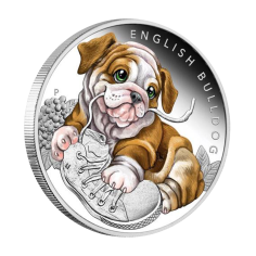 this regulation shall be binding in its entirety and directly applicable in all member states