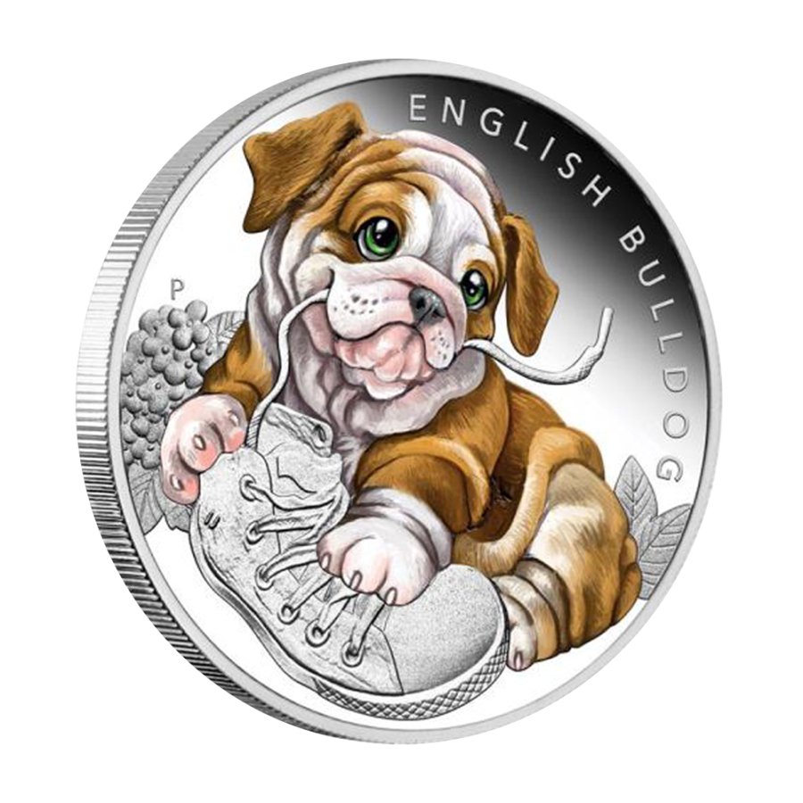 this regulation shall be binding in its entirety and directly applicable in all member states