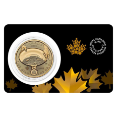 this item is intended to be used only for the following purposes: