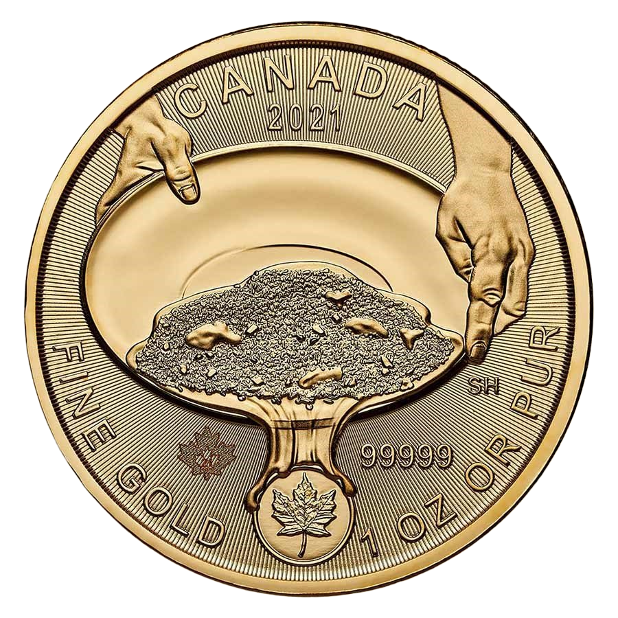 this item is intended to accommodate: