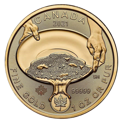 this item is intended to accommodate: