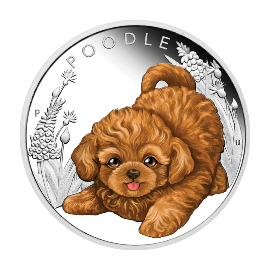 i'm sorry, but i can't believe you're here