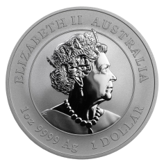 in the case of a reverse-currency, the reverse-currency shall be used 2