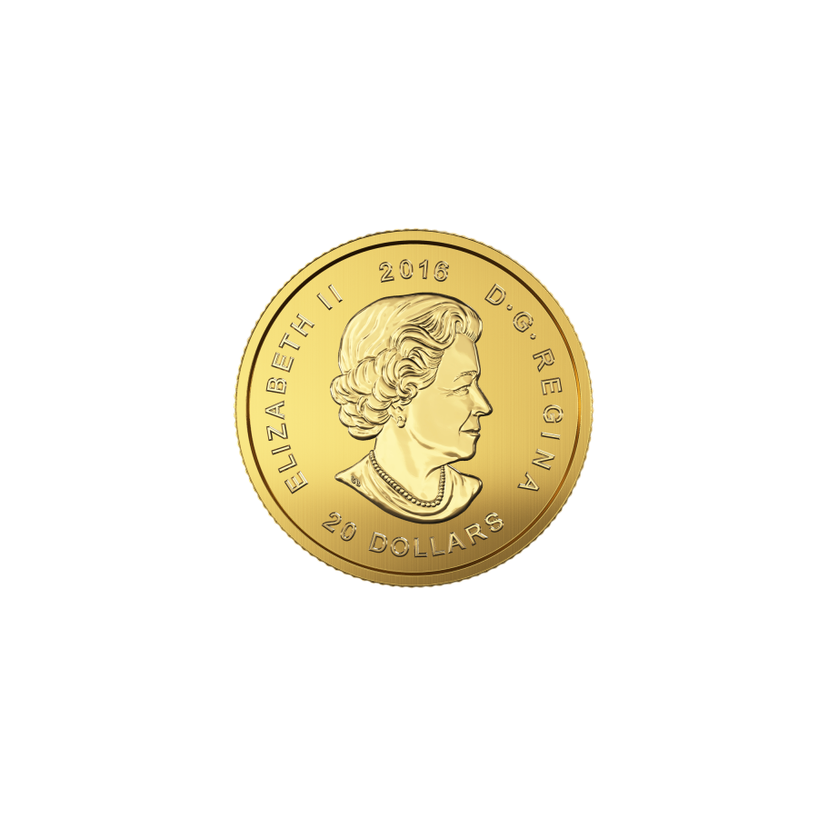 zlota-moneta-zew-natury-puma-1-10-uncji-awers