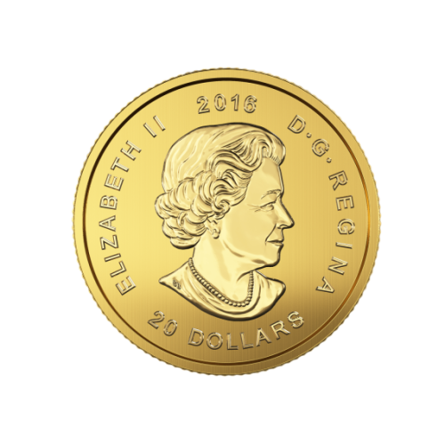 zlota-moneta-zew-natury-puma-1-10-uncji-awers