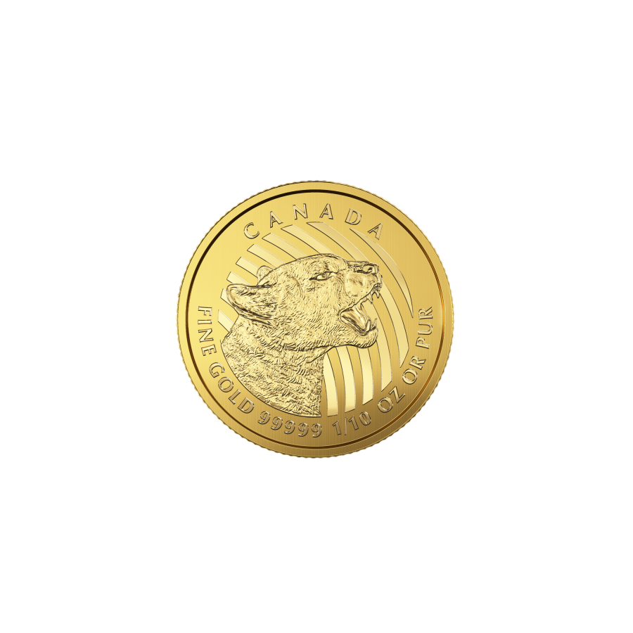 this item is intended to be used only for the following purposes: