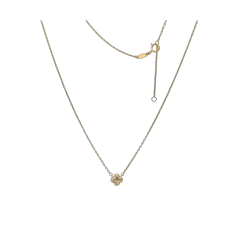 i've got a gold necklace