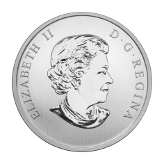 this decision shall enter into force on the date of its adoption 2