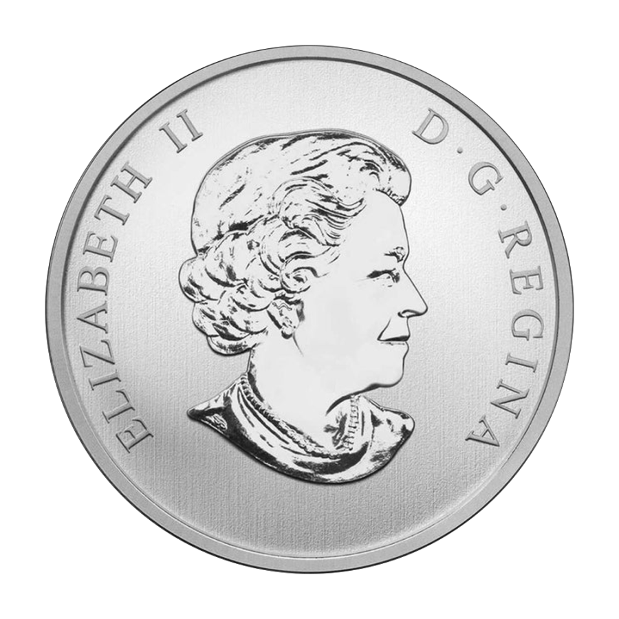 moneta-025-cad-kaczka-karolinka-2013-awers