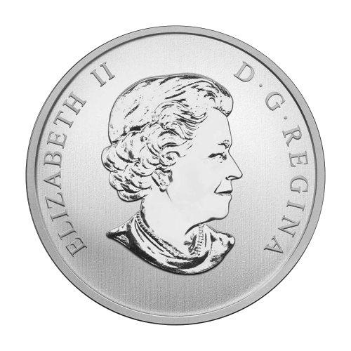 this decision shall enter into force on the date of its adoption