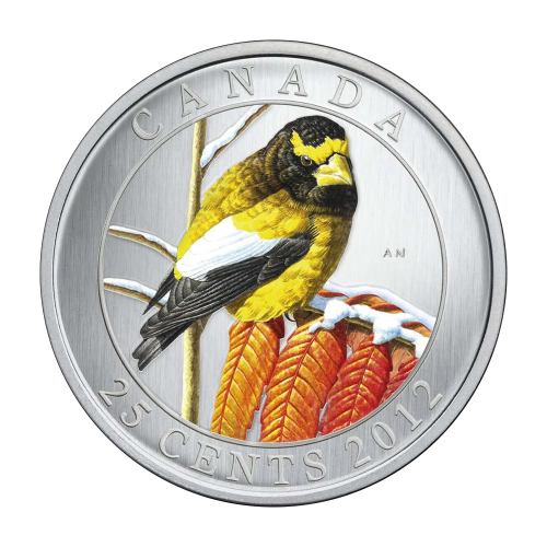 this item is intended to accommodate: