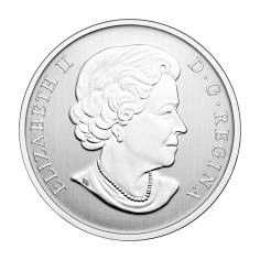 moneta-025-cad-kaczka-kamieniuszka-2014-rewers 2