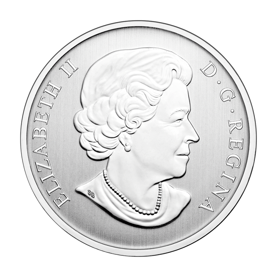 moneta-025-cad-kaczka-kamieniuszka-2014-awers