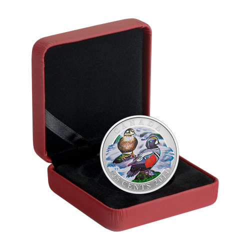 moneta-025-cad-kaczka-kamieniuszka-2014-opakowanie