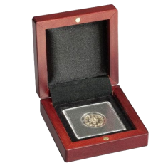 wooden case-volterra-on-one coin
