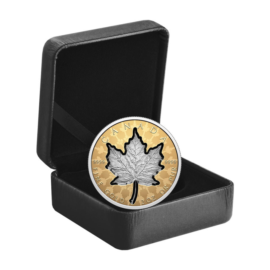 this regulation shall be binding in its entirety and directly applicable in all member states