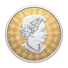 zlota-moneta-kanadyjski-lisc-klonowy-2024-ultra-wklesly-relief-rewers 2