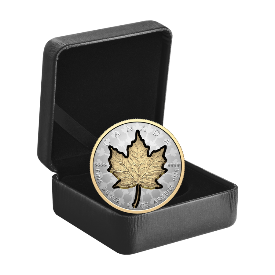 this regulation shall be binding in its entirety and directly applicable in all member states