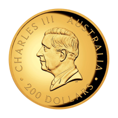 zlota-moneta-australijski-kangur-wysoki-relief-2024-2-uncje-rewers2 2