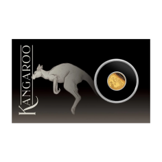 it's a gold coin. it's an australian kangaroo