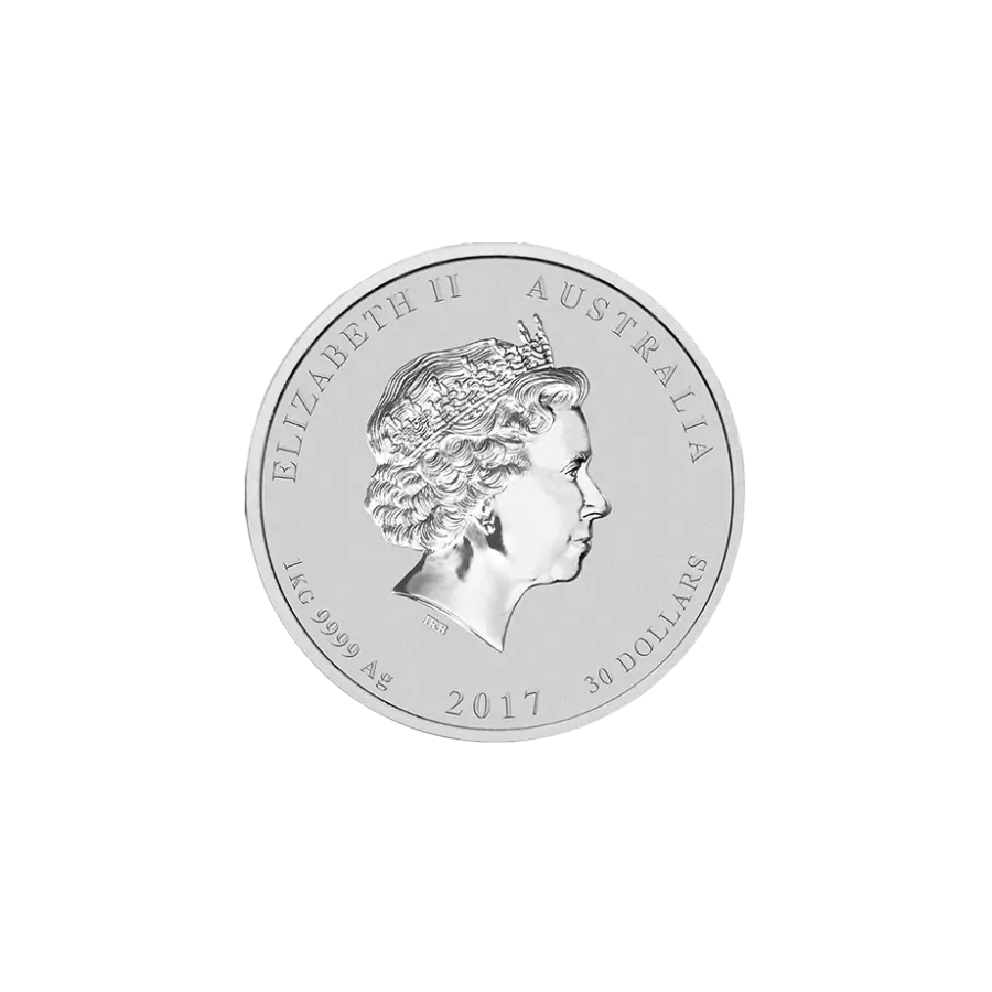 this regulation shall be binding in its entirety and directly applicable in all member states