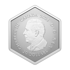 srebrna-moneta-sniezynka-z-krysztalem-2024-rewers (3) 2