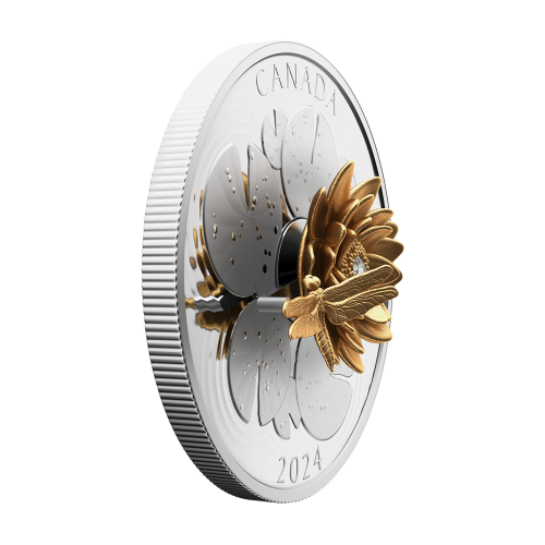 this regulation shall enter into force on the twentieth day following that of its publication in the official journal of the eur