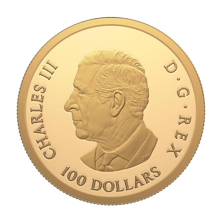 this appropriation is intended to cover the expenditure related to: