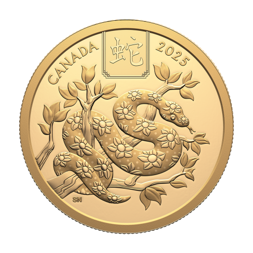 this appropriation is intended to cover expenditure relating to: