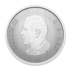 moneta-soczewkowa-ubieranie-choinki-2024-rewers (3) 2