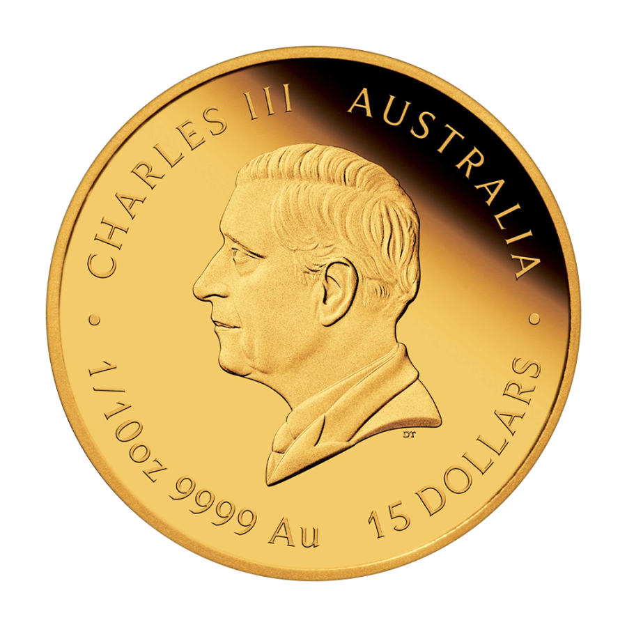 this item is intended to accommodate: