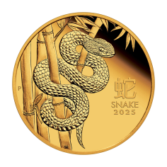 this item is intended to accommodate: