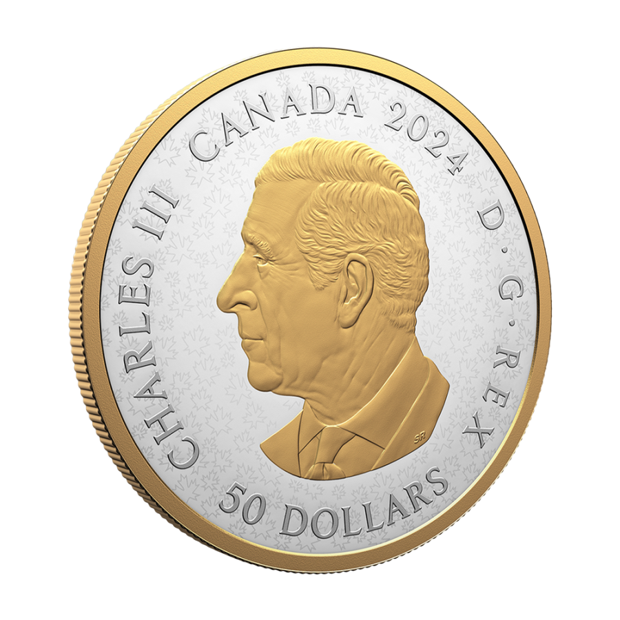 srebrna-moneta-krajobraz-heraldyczny-ptaki-kanady-perspektywa (2)