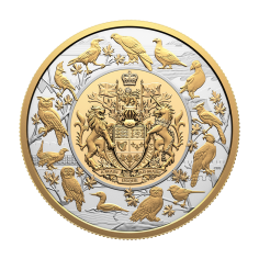 this item is intended to accommodate: