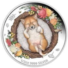 this regulation shall be binding in its entirety and directly applicable in all member states