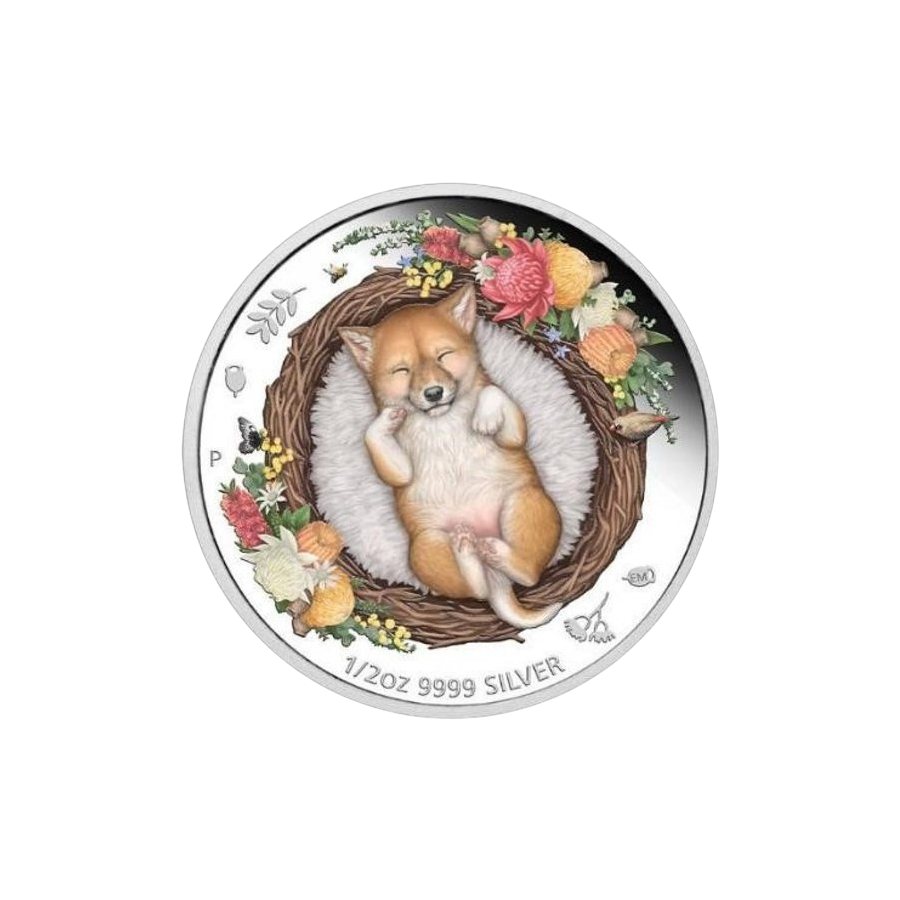 this regulation shall be binding in its entirety and directly applicable in all member states