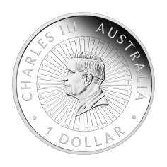 silver-coin-australia with chrysoprase-1-ounce reverse (2) 2