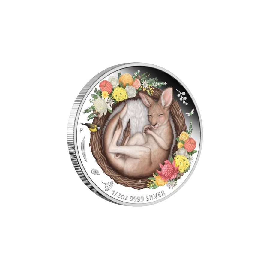 this is a silver coin