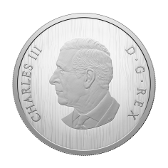 srebrna-moneta-heraldyczny-niedzwiedz-2025-rewers (2) 2