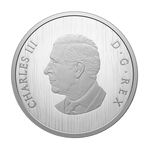 srebrna-moneta-heraldyczny-niedzwiedz-2025-awers