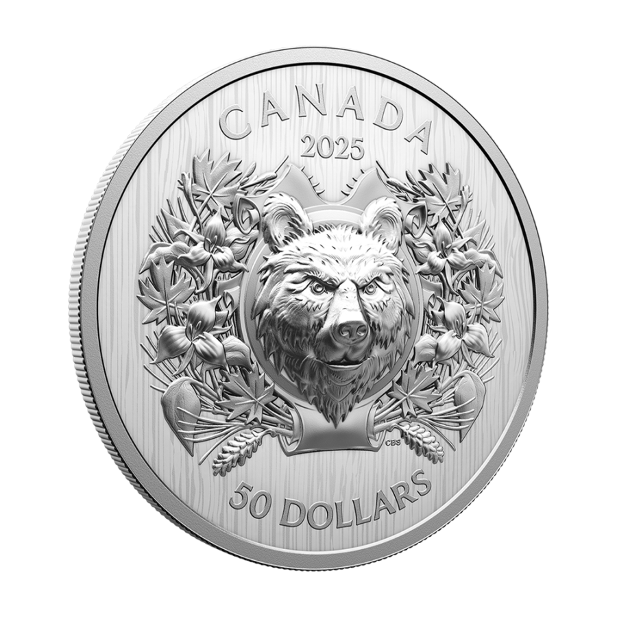 this regulation shall enter into force on the twentieth day following that of its publication in the official journal of the eur