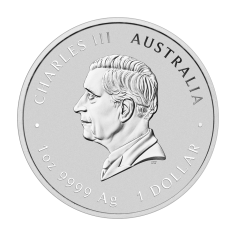 srebrna-moneta-australijski-rok-weza-2025-pozlacana-rewers (1) 2