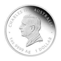 srebrna-moneta-australijska-quokka-2024-1-uncja-proof-rewers (2) 2