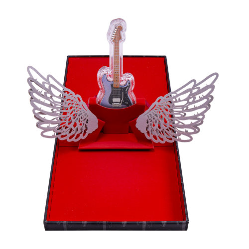 a silver-coin-fender-mystery-box-1-ounce-package (4)