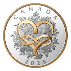 this decision shall enter into force on the date of its adoption